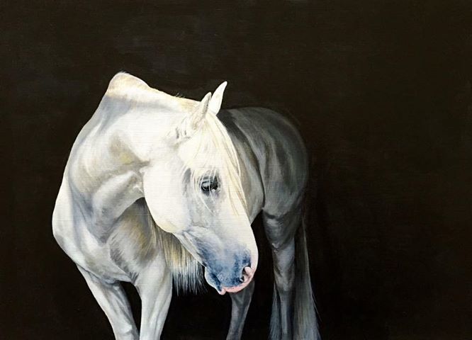 Art By Naomi Hawkins - Equine Arts